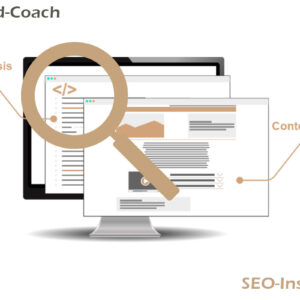 SEO-Inspektion Ranking verbessern